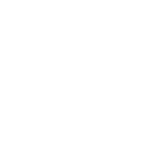 LogoBalmain