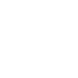 LogoBalmain