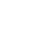 LogoShiseido (1)